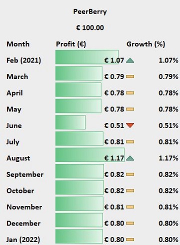 PeerBerry's gains (profit) and growth (percentages) over the past year