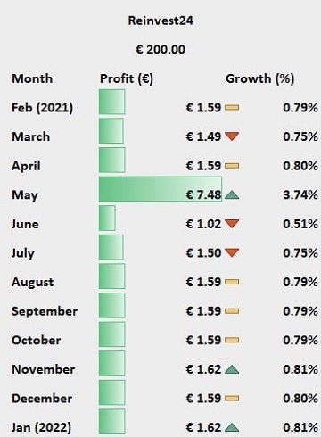 Reinvest24's gains (profit) and growth (percentages) over the past year