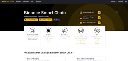 The Binance Smart Chain Review